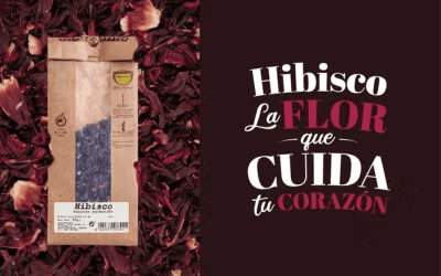 Hibisco